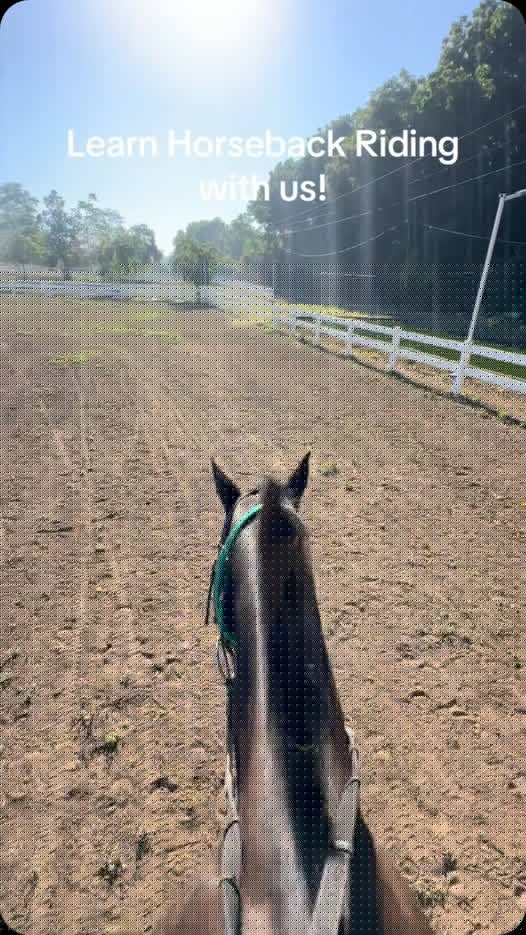Horse riding lessons at Kuumba arena